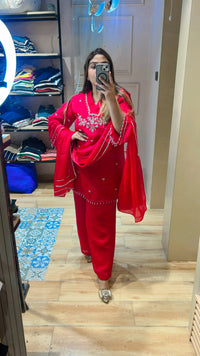 Beautiful party wear suit