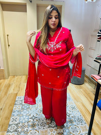 Beautiful party wear suit