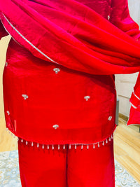 Beautiful party wear suit