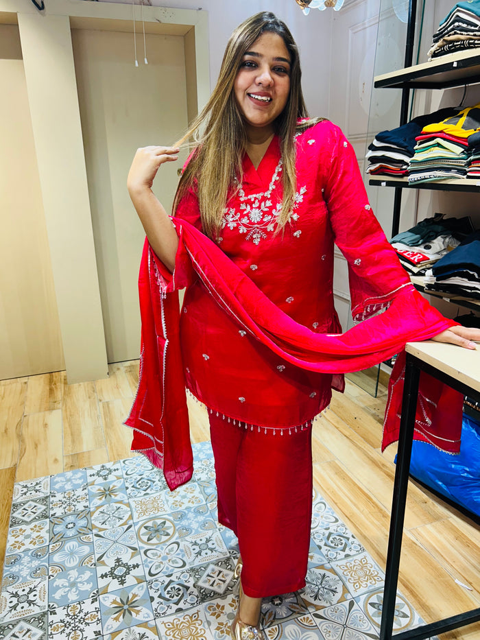 Beautiful party wear suit