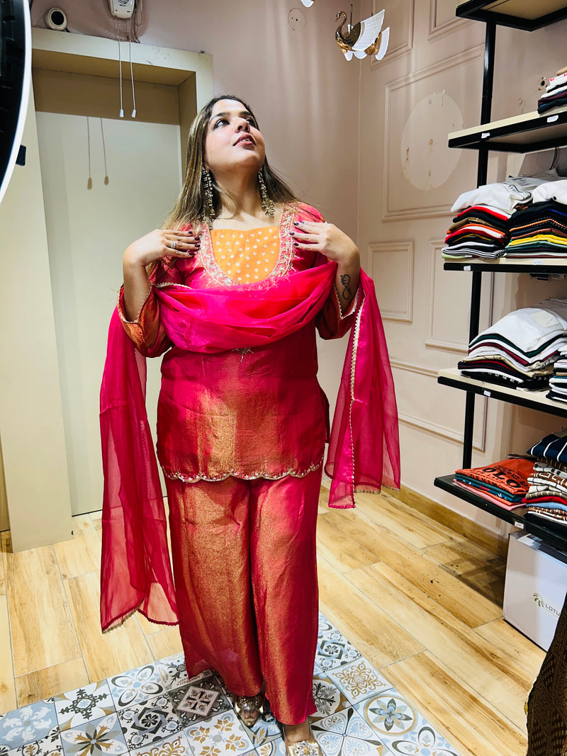 Beautiful party wear suit