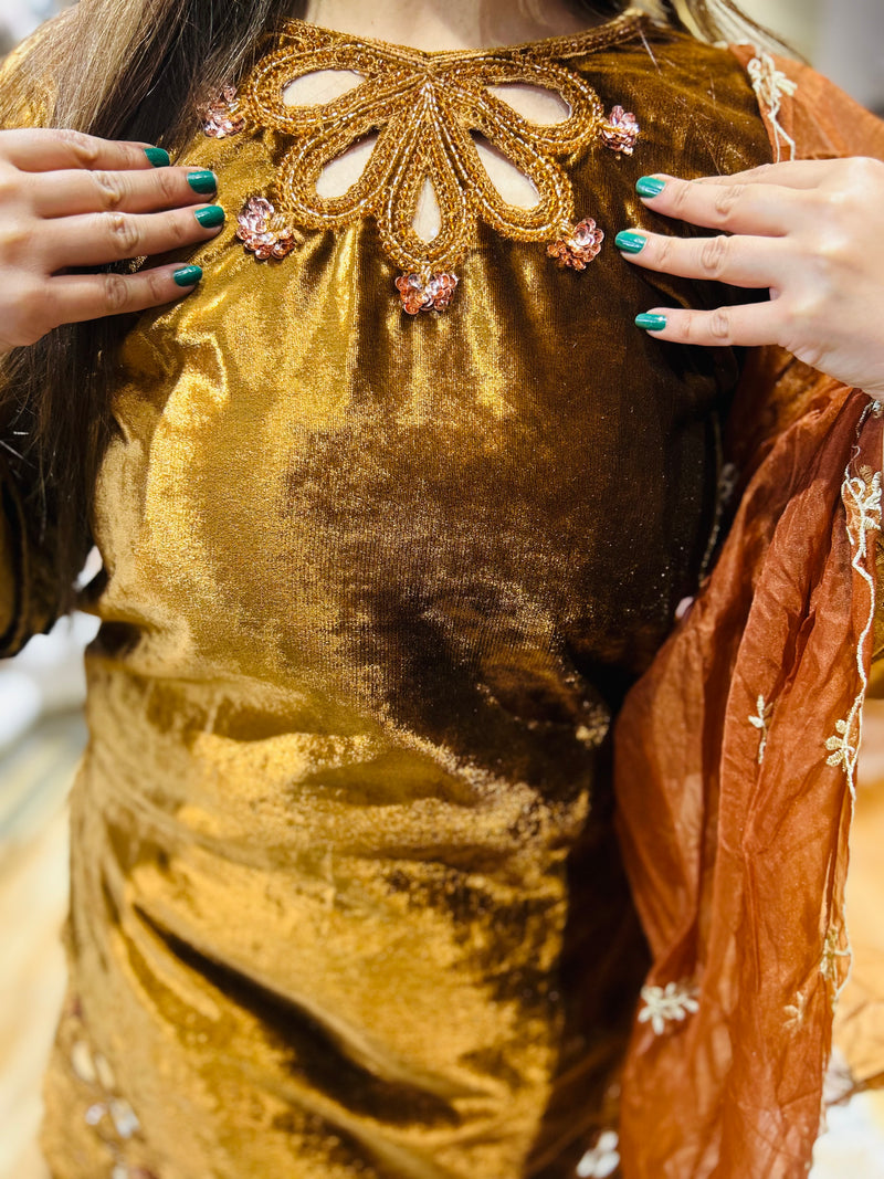 Pakistani velvet suit
