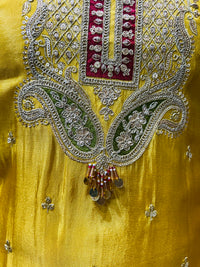 PARTY WEAR SUIT